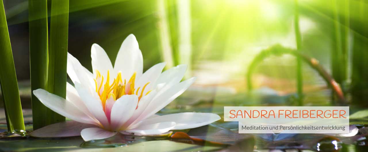 Sandra Freiberger -  Meditation und Persönlichkeitsentwicklung